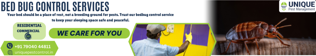 Bedbug Control Service